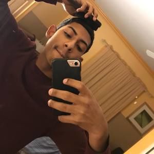 Meet your Posher, Wilber